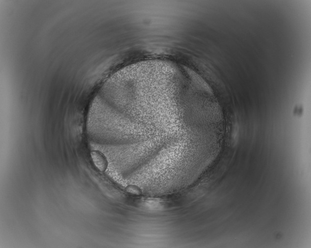 X0000114010710200910231815