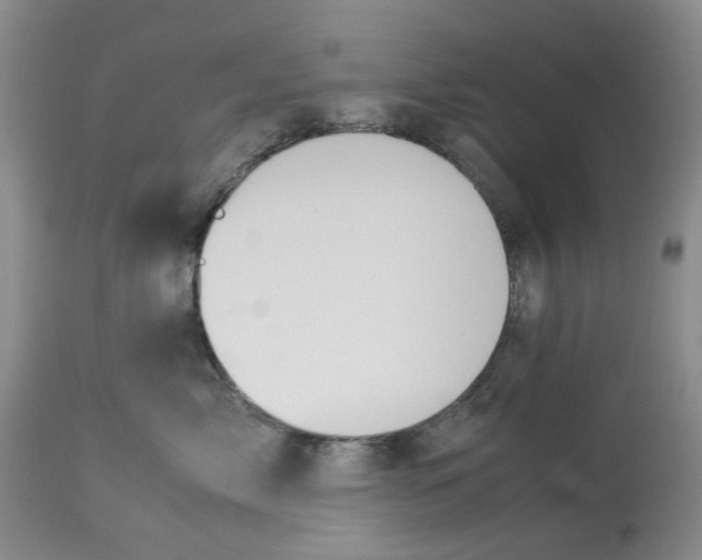 X0000114010717200910231815