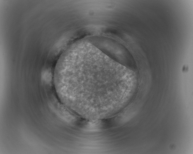 X0000114010720200910231815