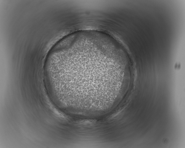 X0000114010721200910231814