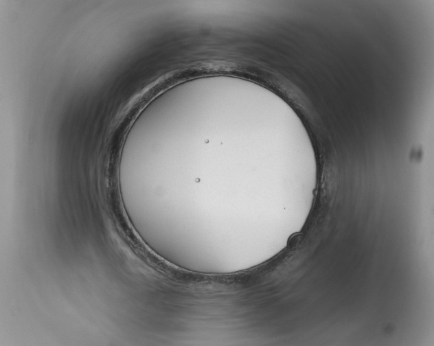 X0000114010722200910231814