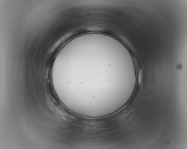 X0000114010723200910231814