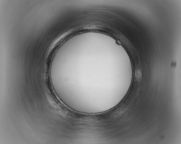 X0000114010724200910231814