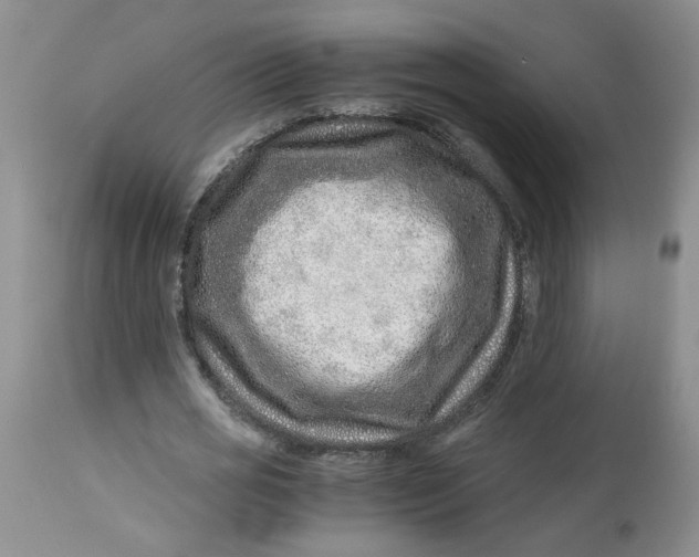 X0000114010725200910231814