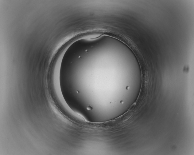 X0000114010726200910231814