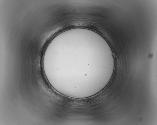 X0000114010727200910231814