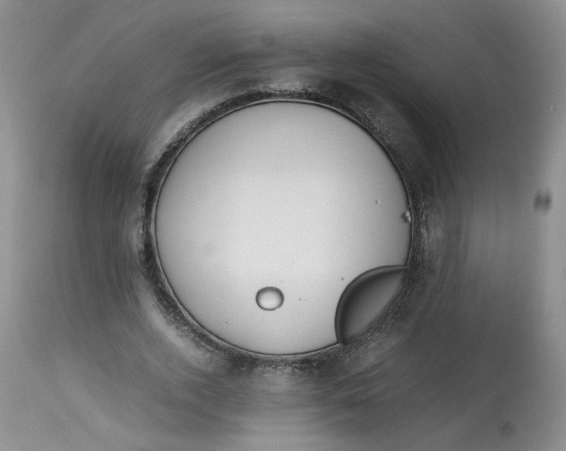 X0000114010728200910231814