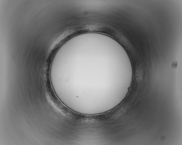 X0000114010730200910231814