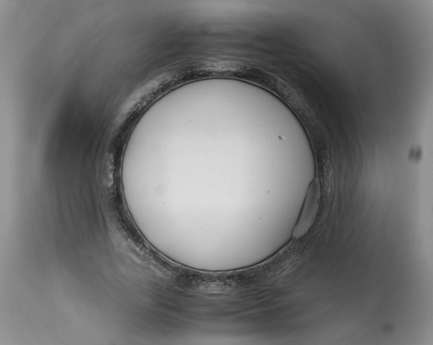 X0000114010731200910231814