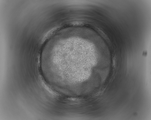 X0000114010733200910231814