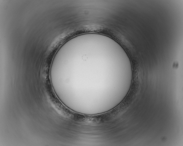 X0000114010736200910231814