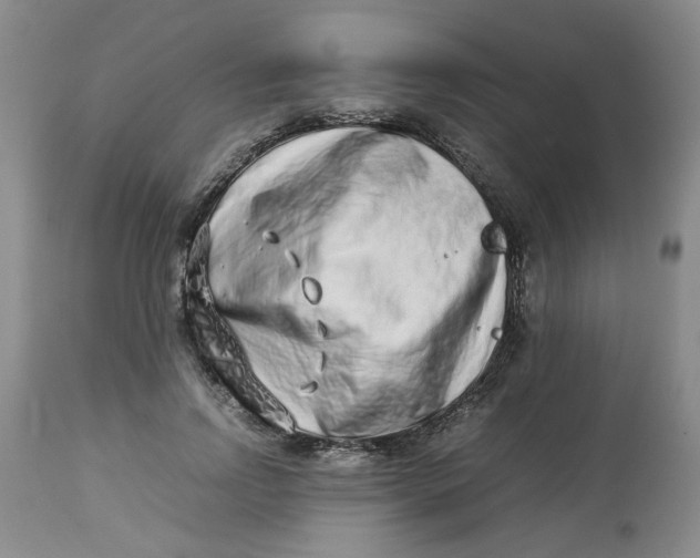 X0000114010742200910231814