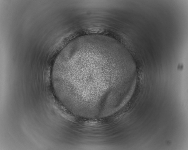 X0000114010745200910231815