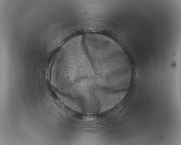 X0000114010746200910231815