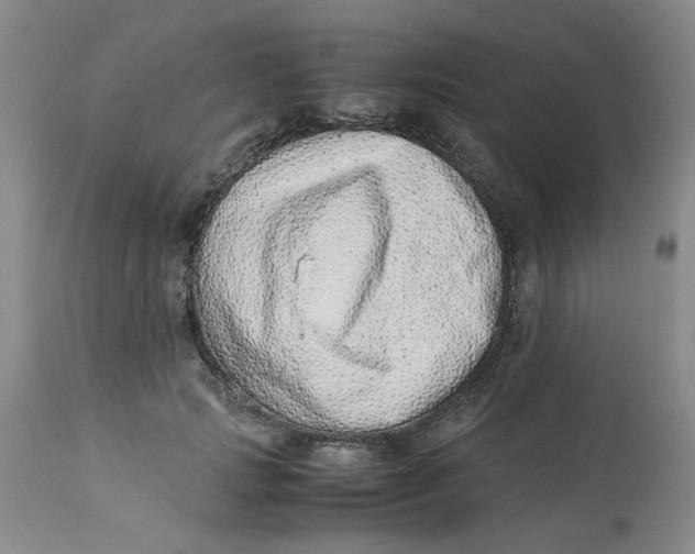 X0000114010749200910231815