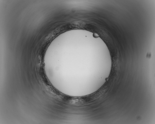 X0000114010752200910231815