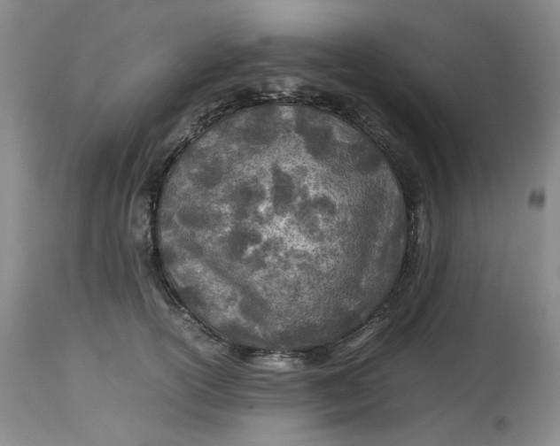 X0000114010754200910231815