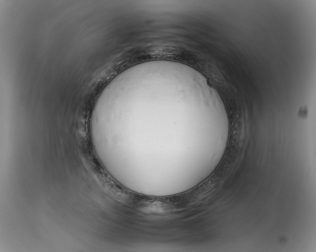 X0000114010755200910231815