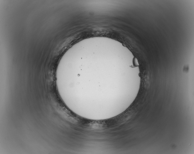 X0000114010756200910231815