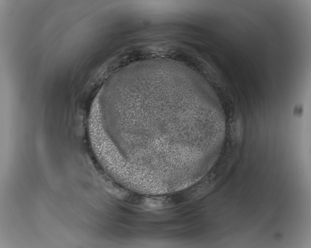 X0000114010757200910231815