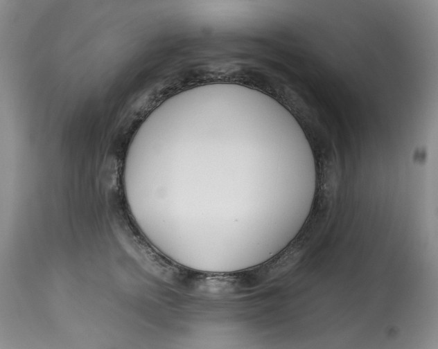 X0000114010758200910231815