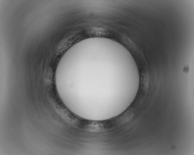 X0000114010760200910231815