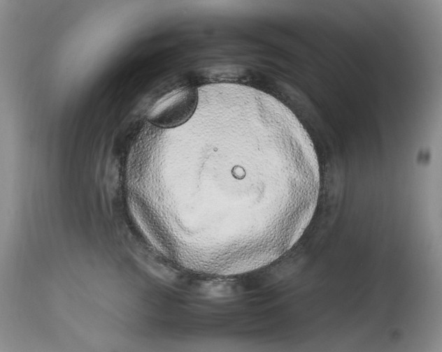 X0000114010761200910231815