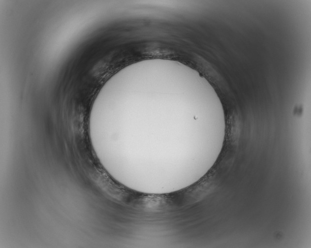 X0000114010762200910231815