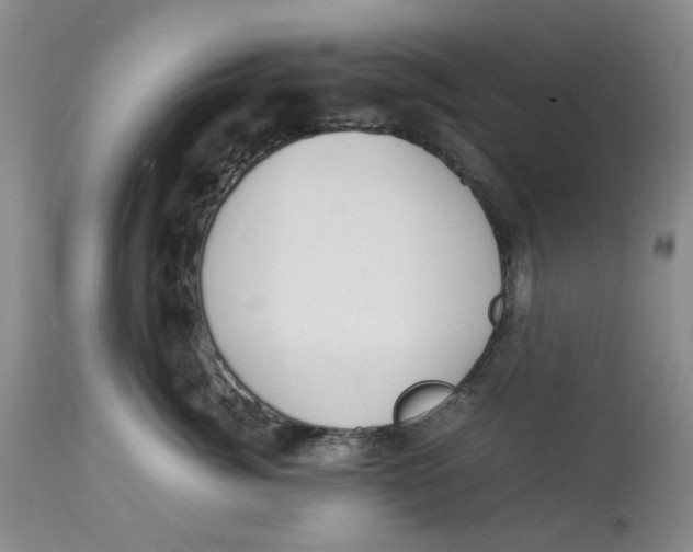 X0000114010764200910231815