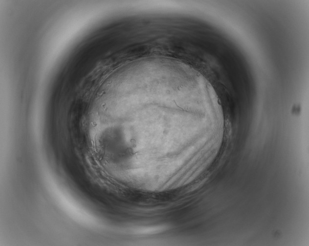 X0000114010765200910231815