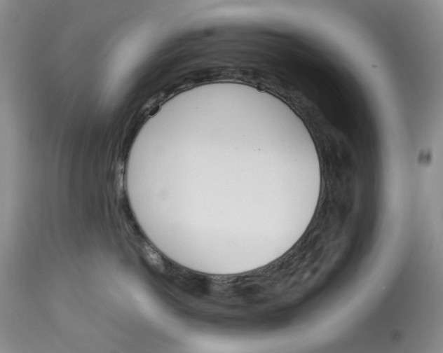 X0000114010766200910231815