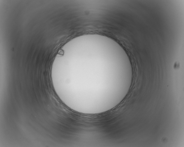 X0000114010768200910231815