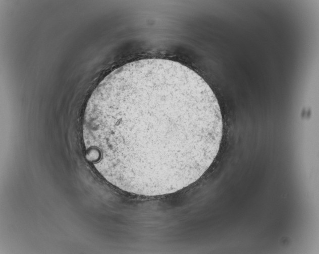 X0000114010769200910231814