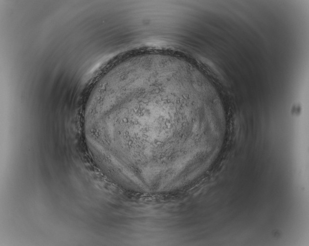 X0000114010776200910231814