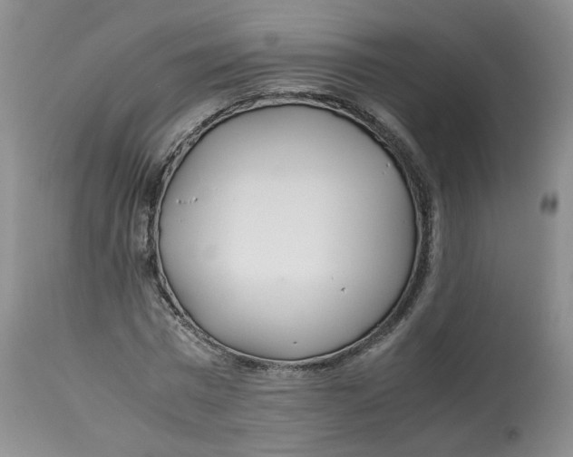 X0000114010777200910231814