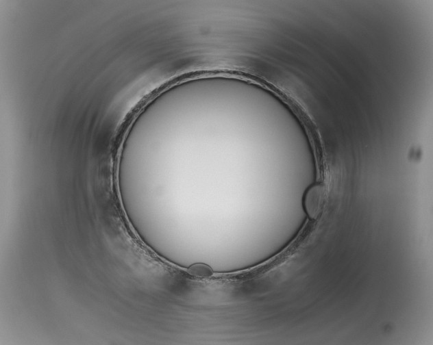 X0000114010781200910231814