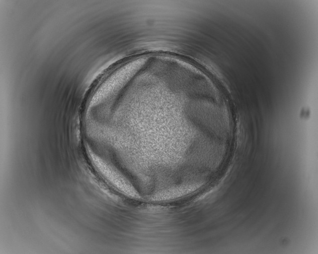 X0000114010782200910231814