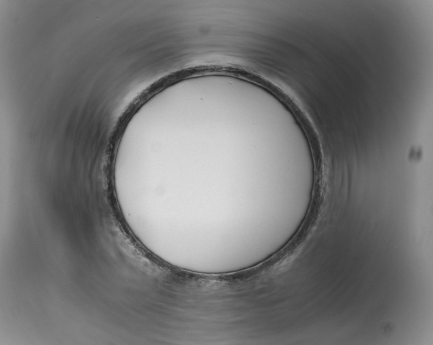 X0000114010783200910231814