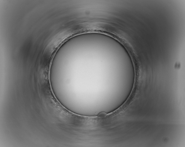 X0000114010785200910231814