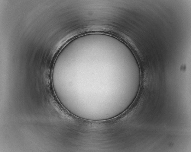 X0000114010786200910231814