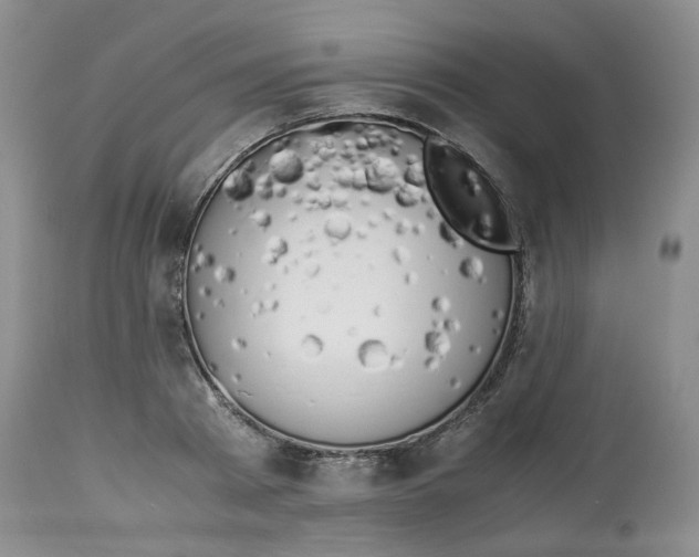 X0000114010793200910231814