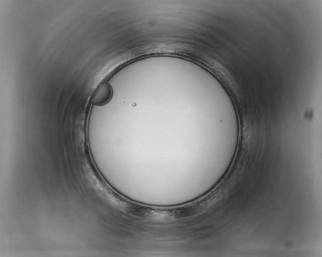 X0000114010794200910231814