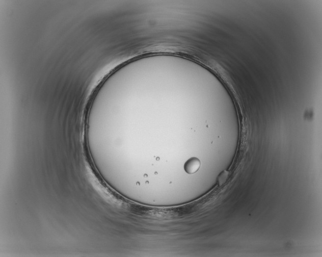 X0000114010795200910231814