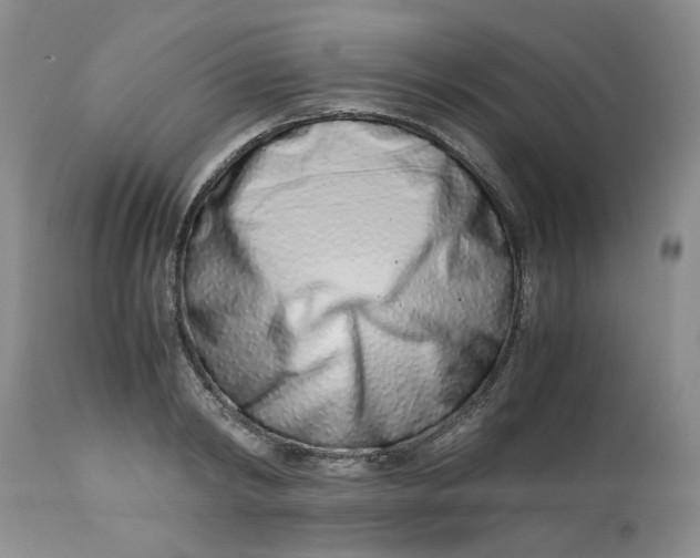 X0000114010798200910231814