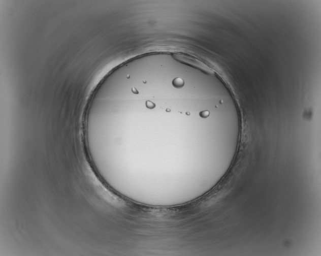 X0000114010803200910231814