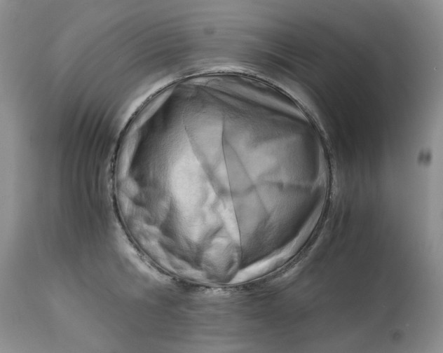 X0000114010806200910231814