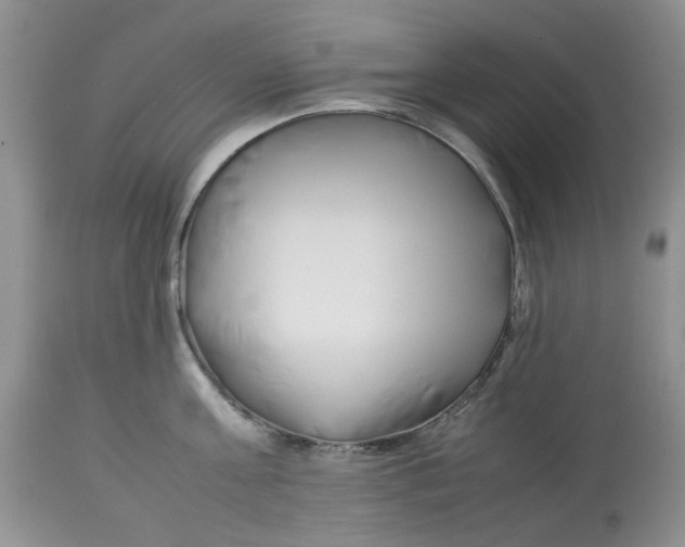 X0000114010811200910231814