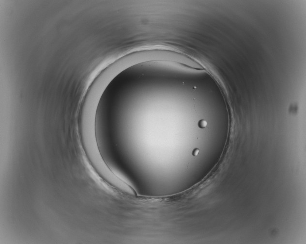 X0000114010813200910231814