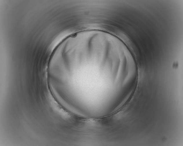 X0000114010814200910231814