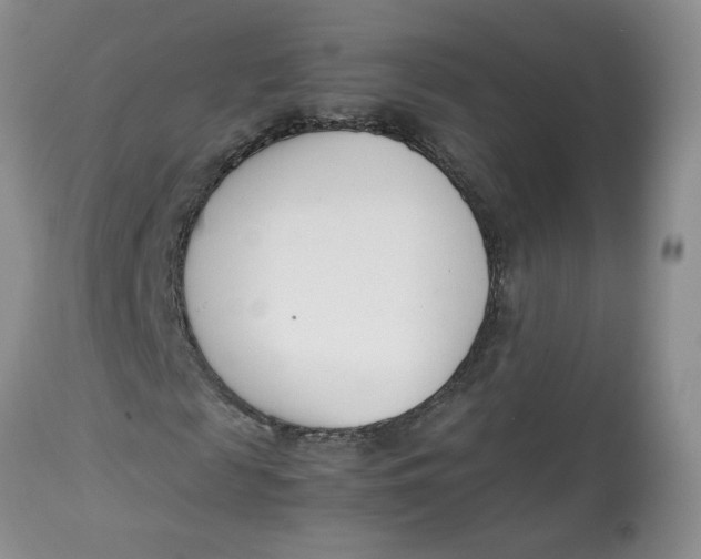 X0000114010817200910231813